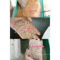 MLNJ20/15 20 tonnes/jour mini moulin à riz étuvé à petite échelle